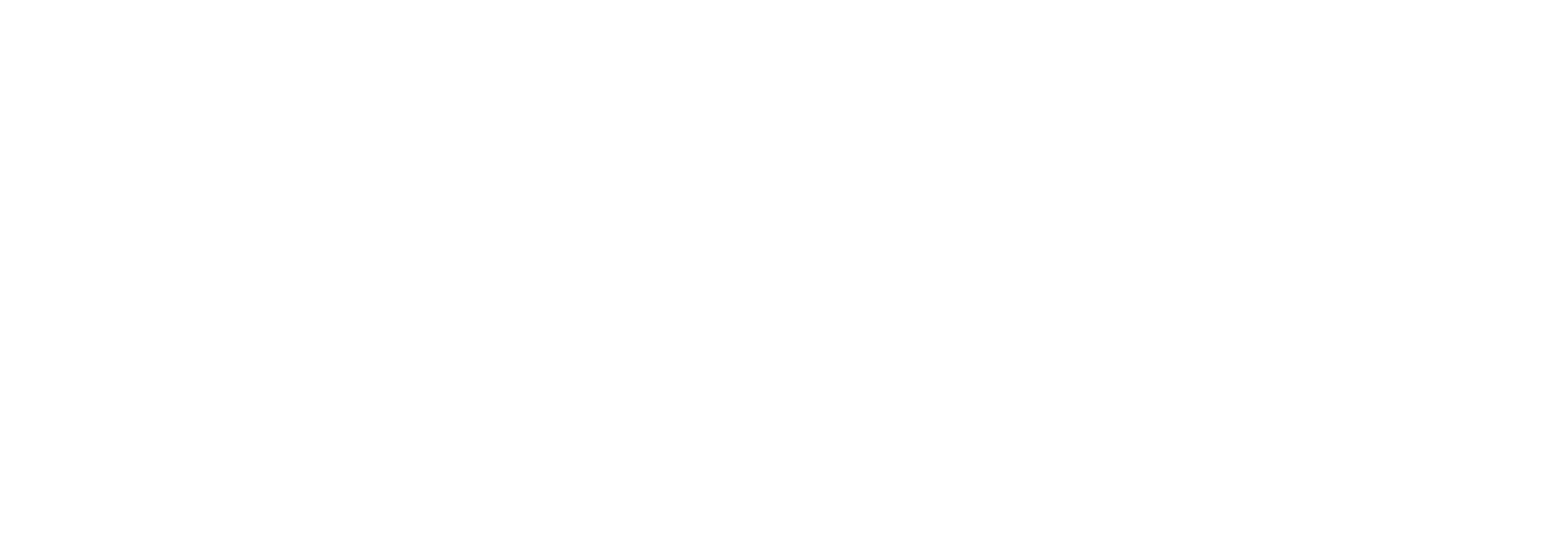 Ticsie